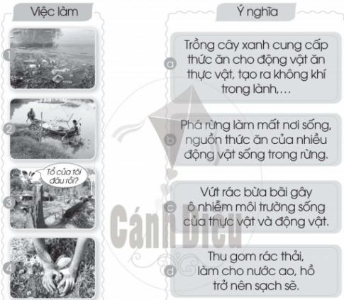 [Cánh diều] Giải VBT Tự nhiên và xã hội 2 bài 12: Bảo vệ môi trường sống của thực vật và động vật