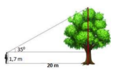 Trắc nghiệm Toán 9 bài 5: Ứng dụng thực tế các tỉ số lượng giác của góc nhọn. Thực hành ngoài trời (P2)