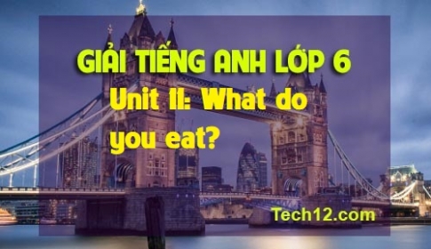 Unit 11: What do you eat?