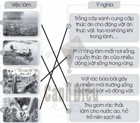 [Cánh diều] Giải VBT Tự nhiên và xã hội 2 bài 12: Bảo vệ môi trường sống của thực vật và động vật