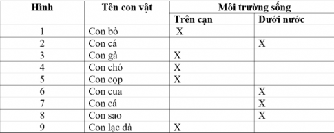 [Cánh diều] Giải VBT Tự nhiên và xã hội 2 bài 11: Môi trường sống của thực vật và động vật 