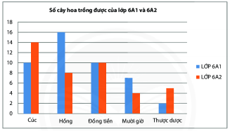 [KNTT] Trắc nghiệm Toán 6 bài 41: Biểu đồ cột kép