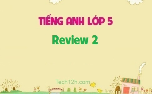 Review 2