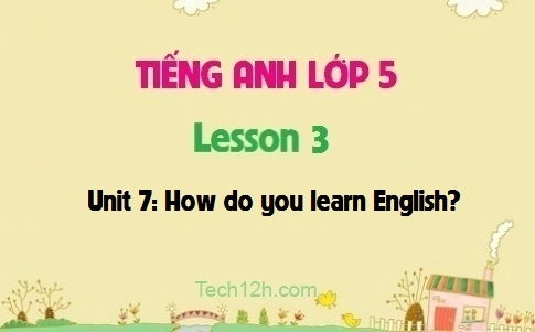 Unit 7: How do you learn English? Lesson 3