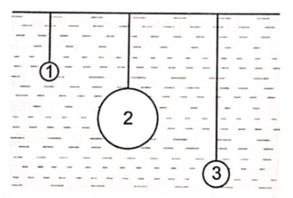 Ba quả cầu bằng thép được nhúng vào trong nước như hình vẽ.