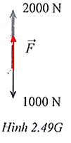 Một người nhảy dù có tổng trọng lượng của người và các thiết bị là 1 000 N. Khi người đó mở dù ra, dù sẽ kéo lên người đó một lực 2 000 N.