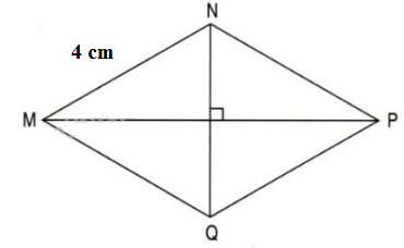 [Chân trời sáng tạo] Giải toán 6 bài 2: Hình chữ nhật – Hình thoi – Hình bình hành – Hình thang cân 