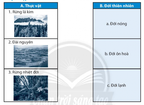 [CTST] Giải SBT lịch sử và địa lí 6 bài 20: Sinh vật và sự phân bố các đới thiên nhiên