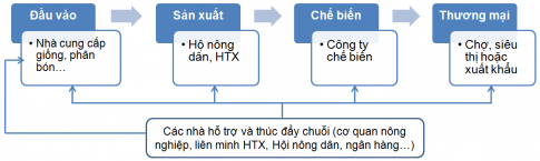 Giải bài 20 Vai trò, đặc điểm, các nhân tố ảnh hưởng đến sự phát triển và phân bố nông nghiệp, lâm nghiệp, thủy sản