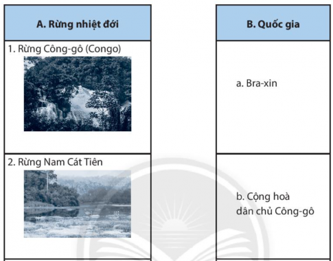 [CTST] Giải SBT lịch sử và địa lí 6 bài 20: Sinh vật và sự phân bố các đới thiên nhiên