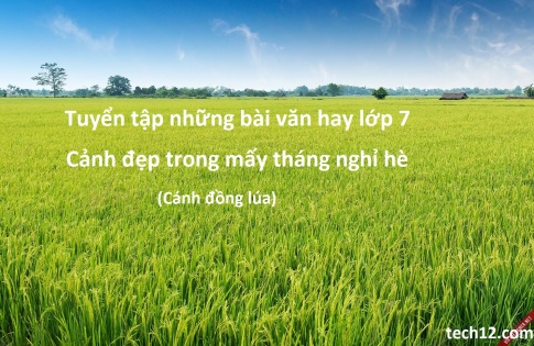 Văn mẫu 7: Miêu tả một cảnh đẹp mà em đã gặp trong mấy tháng nghỉ hè (có thể là phong cảnh nơi em nghỉ mát hoặc cánh đồng hay rừng núi quê em)