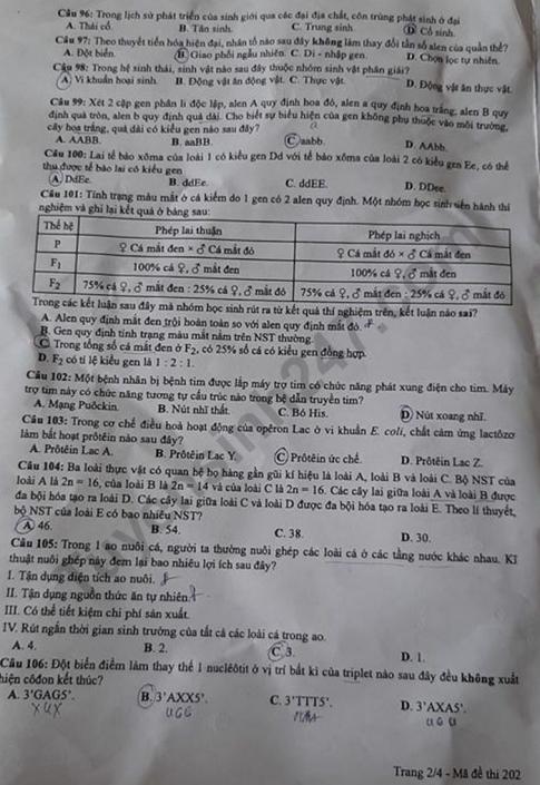 Thi THPQG 2020: Đề thi và đáp án môn Sinh học mã đề 202