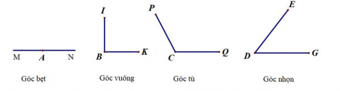  Cho hình ảnh sau, chọn các số đo thích hợp $90^{\circ}$ ; $40^{\circ}$ ;80^{\circ}$ ;00^{\circ}$ điền vào các góc tương ứng