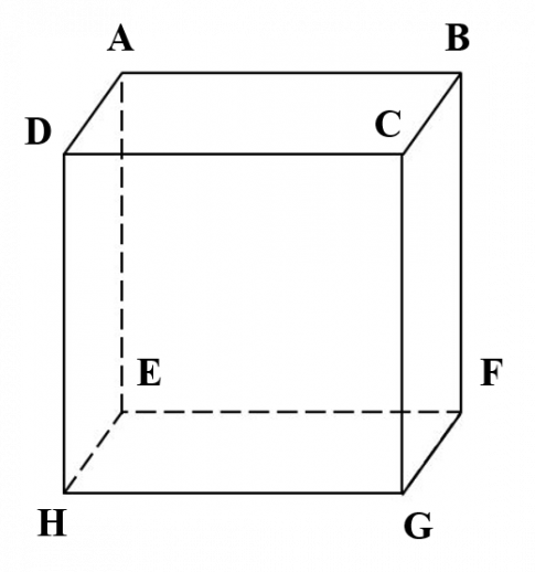 Câu 3