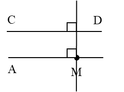 Câu 3: