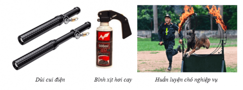 Giải Quốc phòng an ninh 11 Kết nối Bài 7. Pháp luật về quản lý vũ khí, vật liệu nổ, công cụ hỗ trợ