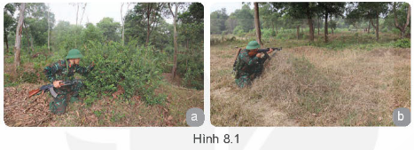 Giải Quốc phòng an ninh 11 Kết nối Bài 8. Lợi dụng địa hình, địa vật