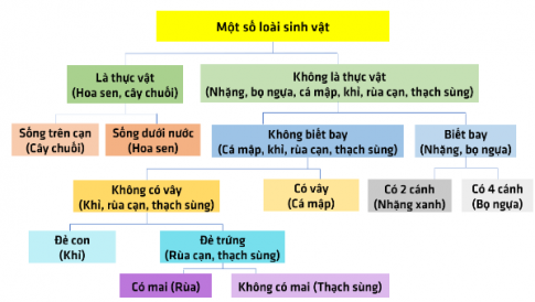 Cho các loài sau: Hoa sen, cây chuối, nhặng, bọ ngựa, cá mập, khỉ, rùa cạn, thạch sùng. Em hãy vẽ sơ đồ lưỡng phân để phân loại chúng.  