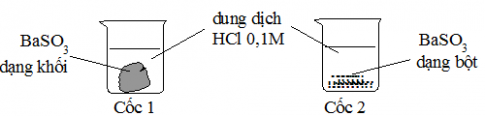 Học sinh tham khảo