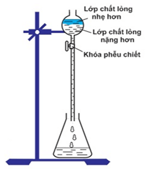 Học sinh tham khảo