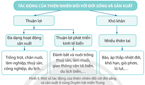 Những tác động của thiên nhiên với đời sống và sản xuất ở vùng Duyên hải miền Trung.