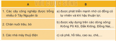 Chọn ý ở cột A sao cho phù hợp với ý ở cột B và ghi kết quả vào vở.