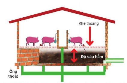 học sinh tham khảo