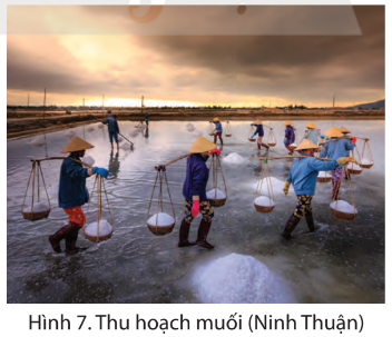 Cho biết một số điều kiện thuận lợi để sản xuất muối ở vùng Duyên hải miền Trung