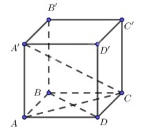 Bài 14 trang 95 SBT Toán 11 CD tập 2