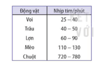 Bảng dưới đây cho thấy nhịp tim của một số động vật: