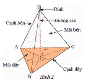 hình chóp tam giác đều