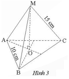 Hình chóp tam giác đều MABC