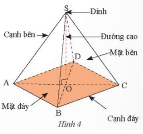 hình chóp tứ giác đều