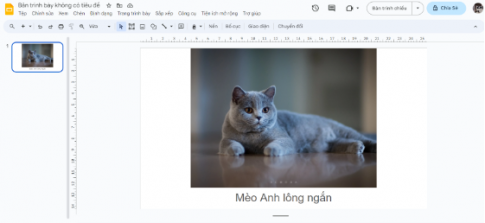 Em hãy sử dụng Google Slides để tạo bài trình chiếu (khoảng 3 đến 4 slide) giới thiệu một vài ảnh động vật đẹp mà em yêu thích. Mỗi slide có một ảnh với một câu giới thiệu về con vật đó.