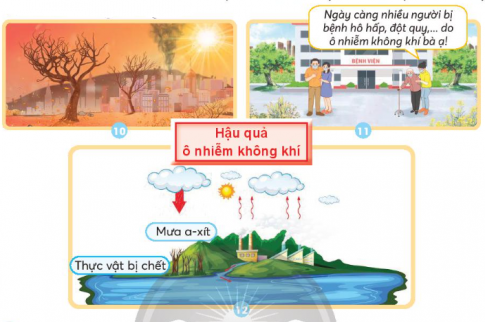 Giải siêu nhanh Khoa học 4 Chân trời bài 6 Ô nhiễm không khí và bảo vệ môi trường không khí