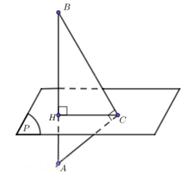 Bài 23 trang 95 SBT Toán 11 CD tập 2