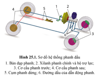 Quan sát hình 25.1 và cho biết hệ thống phanh dầu gồm những bộ phận chính nào?