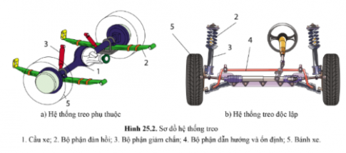 Quan sát hình 25.2 và cho biết bộ phận (2), (3) có nhiệm vụ gì?