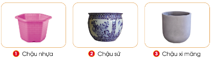 Em hãy nêu đặc điểm của mỗi loại chậu trồng hoa và cây cảnh trong các hình dưới đây.