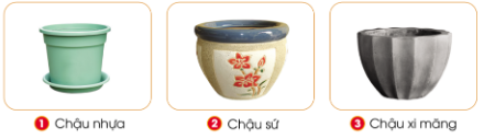 Cùng bạn ghép các thẻ mô tả đặc điểm tương ứng với mỗi loại chậu dưới đây.