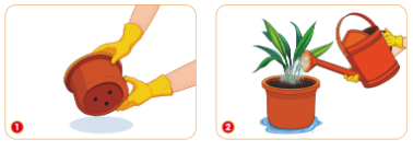 Quan sát hình dưới đây, giải thích vì sao dưới đáy chậu trồng hoa và cây cảnh cần có lỗ.
