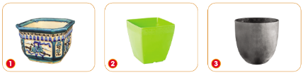 Cùng bạn quan sát các chậu trồng hoa, cây cảnh có trong các hình dưới đây và xếp chúng vào đúng loại theo bảng gợi ý sau.