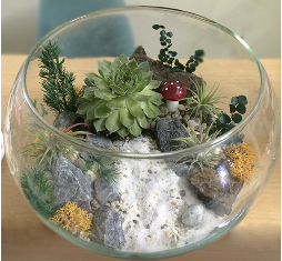 Hãy chia sẻ với bạn về đặc điểm của một số chậu trồng hoa, cây cảnh mà em biết.