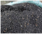Chia sẻ với bạn về một số loại giá thể được sử dụng để trồng hoa và cây cảnh ở địa phương em.