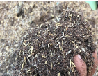 Chia sẻ với bạn về một số loại giá thể được sử dụng để trồng hoa và cây cảnh ở địa phương em.