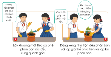 Quan sát hình và đọc thông tin dưới đây, em hãy mô tả công việc phân bón cho cây hoa cúc chuồn trồng trong chậu.