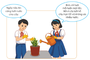 An và Bình đang thảo luận về việc tưới nước cho cây lưỡi hổ trồng trong chậu. Theo em, bạn nào đã làm đúng?