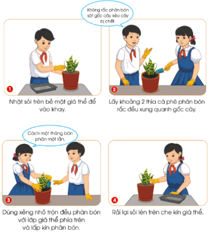 Quan sát hình và đọc thông tin dưới đây, em hãy mô tả công việc bón phân cho cây lưỡi hổ trồng trong chậu.