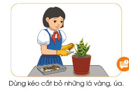 Quan sát hình và đọc thông tin dưới đây, em hãy mô tả công việc cắt tỉa cây lưỡi hổ.