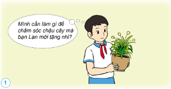 Em hãy đưa ra lời khuyên giúp bạn Nam chăm sóc cây. 